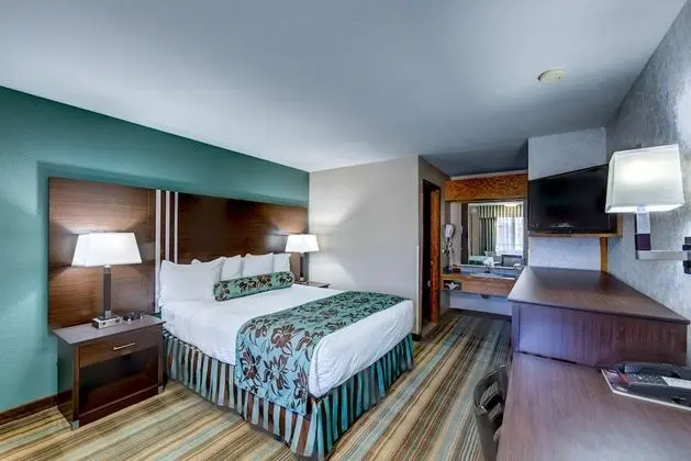 Oda, 1 Büyük (Queen) Boy Yatak (Pets Allowed, Fee Applies)