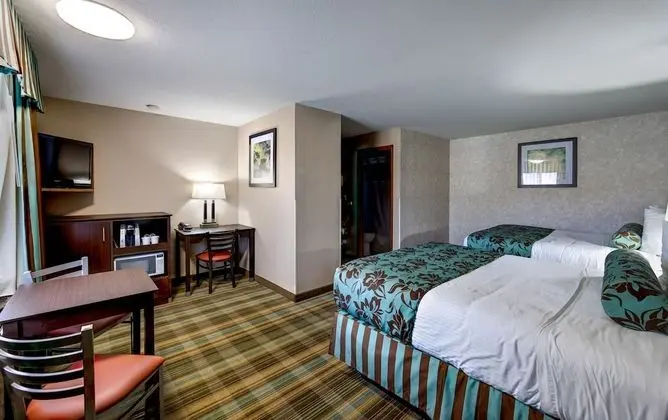 Tek Büyük Yataklı Oda, 2 Büyük (Queen) Boy Yatak (Pets Allowed, Fee Applies)