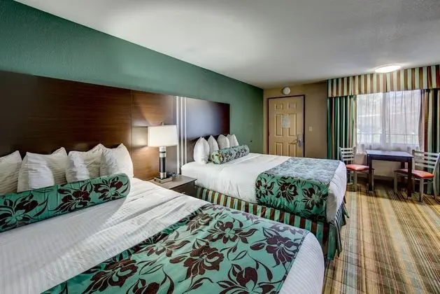 Tek Büyük Yataklı Oda, 2 Büyük (Queen) Boy Yatak (Pets Allowed, Fee Applies)