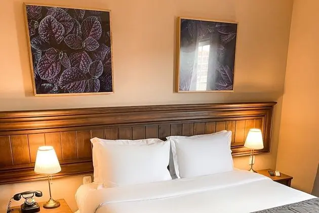 Superior Tek Büyük Yataklı Oda