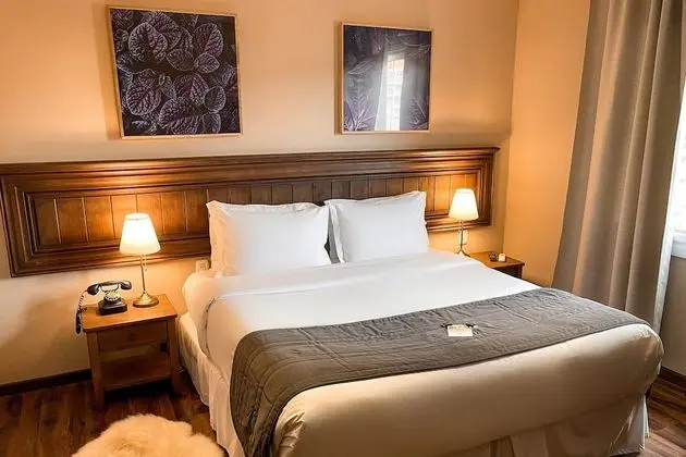 Superior Tek Büyük Yataklı Oda