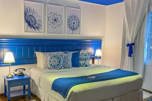 Superior Tek Büyük Yataklı Oda