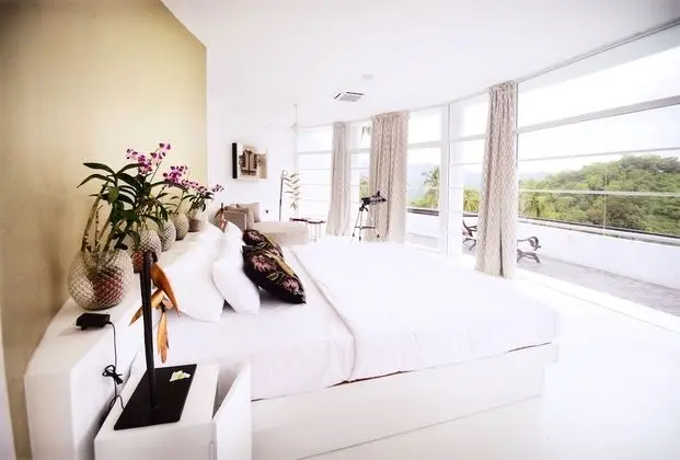 Deluxe Çatı Katı Süiti (Penthouse), 1 En Büyük (King) Boy Yatak, Dağ Manzaralı