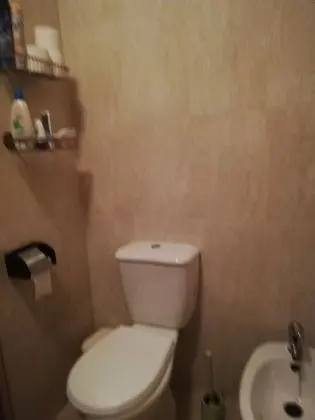 Basic Stüdyo, 1 Çift Kişilik Yatak ve Çekyat, Şehir Manzaralı