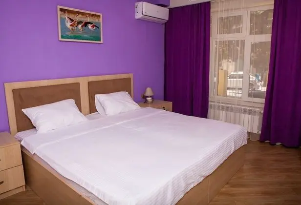 Basic Tek Büyük Yataklı Oda (1)
