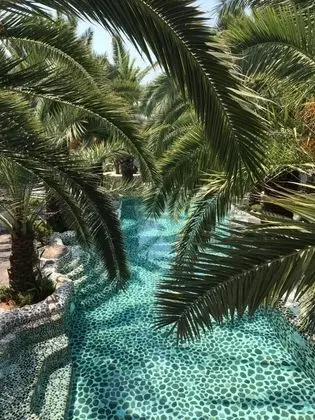 Suite, Havuz Manzaralı