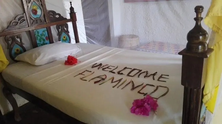 Basic Tek Kişilik Oda, 1 Tek Kişilik Yatak, Veranda, Havuz Manzaralı