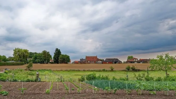 Comfort Villa, 5 Yatak Odası