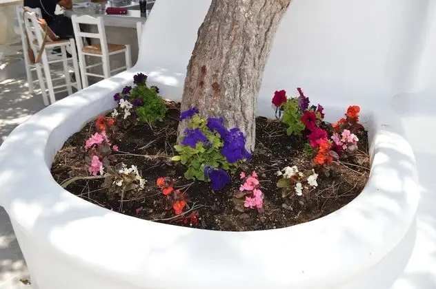 Stüdyo, Deniz Manzaralı, Zemin Kat
