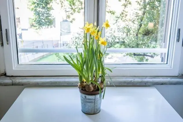 Comfort Apart Daire, 4 Yatak Odası, Şehir Manzaralı