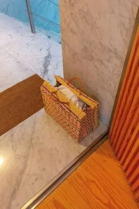 Odada yemek servisi