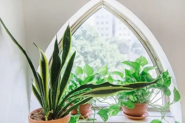 Small Studio Apartment