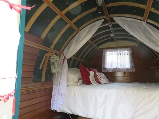 Karavan, Teras (Glamping Caravan)