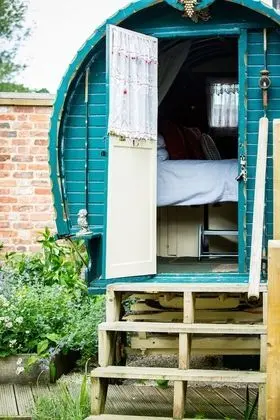 Karavan, Teras (Glamping Caravan)