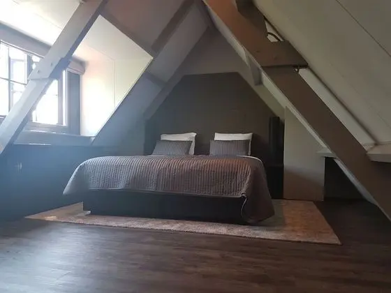 Süit