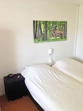 Tek Büyük Yataklı Oda (shower, small)