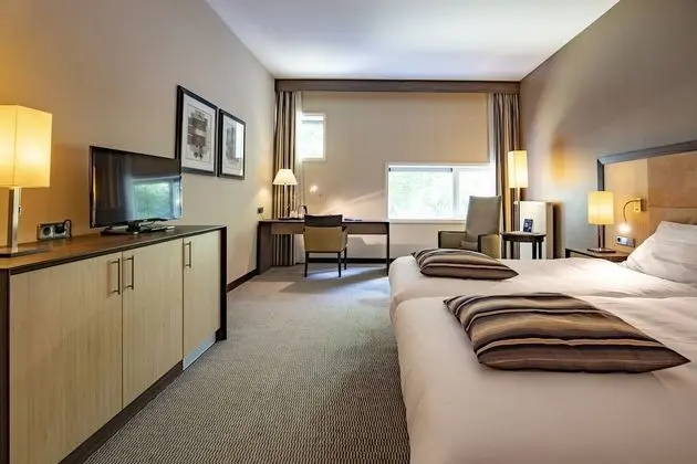 Luxury Tek Büyük Yataklı Oda