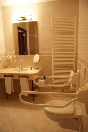 Tek Büyük Yataklı Oda, Engellilere Uygun (with Shower)