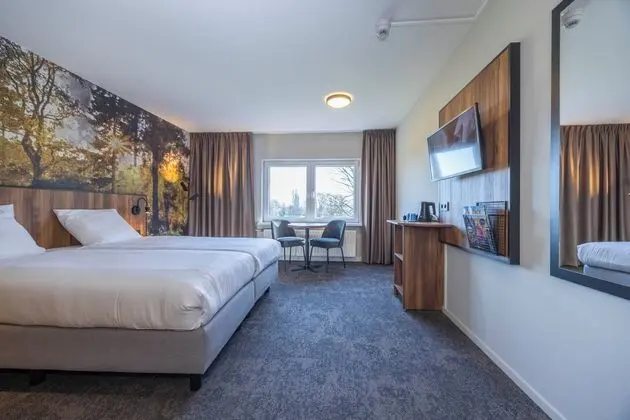 Deluxe Tek Büyük Yataklı Oda (With Shower)
