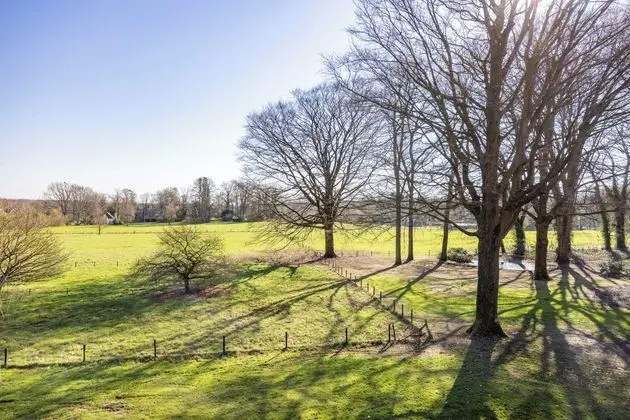 Deluxe Tek Büyük Yataklı Oda (With Shower)