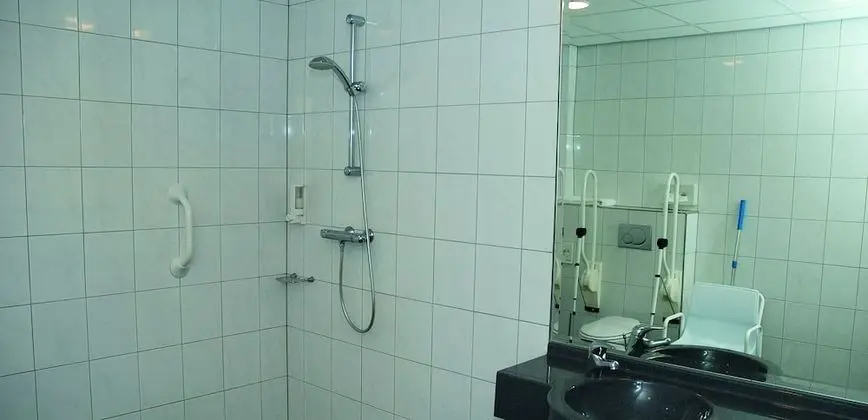 Tek Büyük Yataklı Oda, Engellilere Uygun (shower)