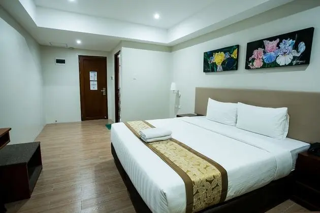 Deluxe Tek Büyük Yataklı Oda, 1 Çift Kişilik Yatak, Engellilere Uygun, Buzdolabı