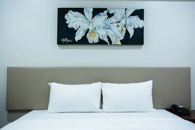 Deluxe Tek Büyük Yataklı Oda, 1 Çift Kişilik Yatak, Engellilere Uygun, Buzdolabı