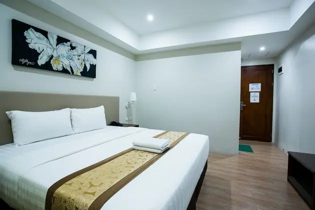 Deluxe Tek Büyük Yataklı Oda, 1 Çift Kişilik Yatak, Engellilere Uygun, Buzdolabı