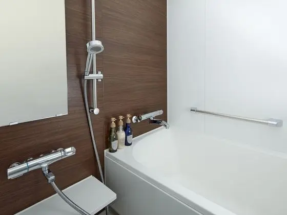 Deluxe İki Ayrı Yataklı Oda, Sigara İçilmez (Cleaning is Optional with Cost)