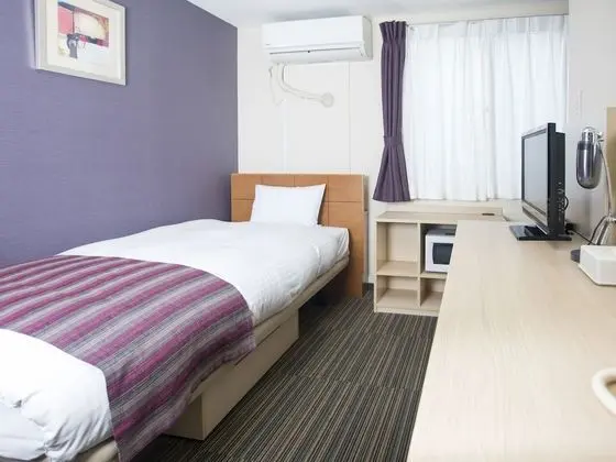 Tek Kişilik Oda, Sigara İçilmez (Cleaning is Optional with Cost)