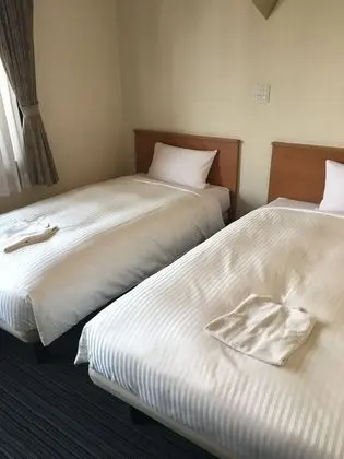 Superior İki Ayrı Yataklı Oda, Sigara İçilebilir (Cleaning is Optional with Cost)