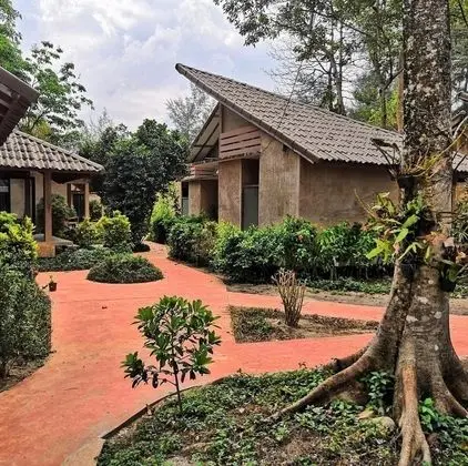 Garden view bungalow