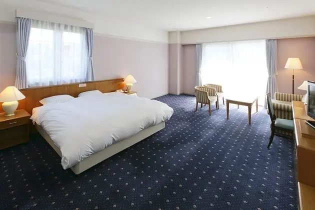 Deluxe Oda, Sigara İçilmez (King)