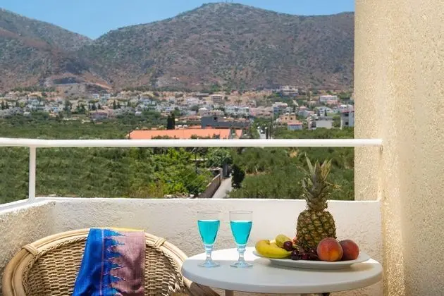 Superior Tek Büyük veya İki Ayrı Yataklı Oda