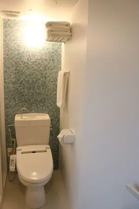 Business Tek Büyük Yataklı Oda, 1 Çift Kişilik Yatak, Sigara İçilmez, Şehir Manzaralı