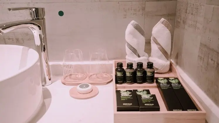 Deluxe İki Ayrı Yataklı Oda