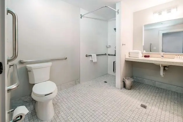 Oda, 1 En Büyük (King) Boy Yatak, Engellilere Uygun (Roll-in Shower)