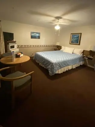 Standard Tek Kişilik Oda, 1 Büyük (Queen) Boy Yatak