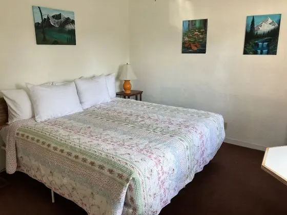 Standard Tek Kişilik Oda, 1 En Büyük (King) Boy Yatak