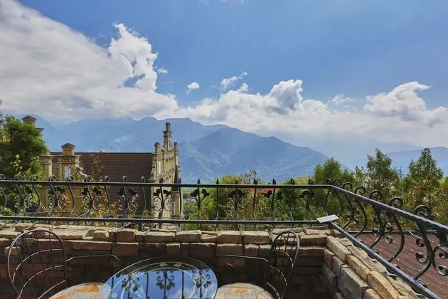 Panoramic Oda, 2 Tek Kişilik Yatak, Dağ Manzaralı