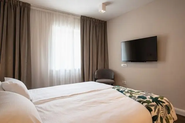 Comfort Tek Büyük veya İki Ayrı Yataklı Oda, 1 Yatak Odası, Özel Banyo, Bahçe Manzaralı