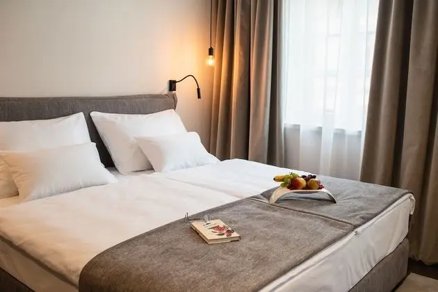 Comfort Tek Büyük veya İki Ayrı Yataklı Oda, 1 Yatak Odası, Özel Banyo, Bahçe Manzaralı