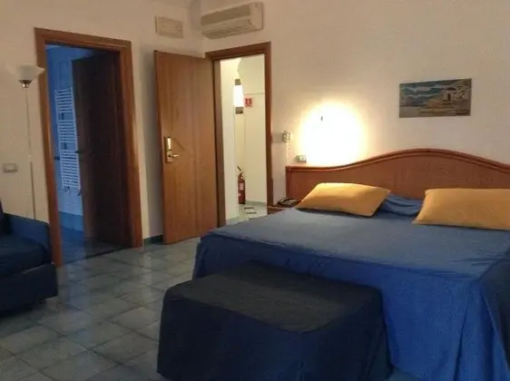 Superior Tek Büyük Yataklı Oda