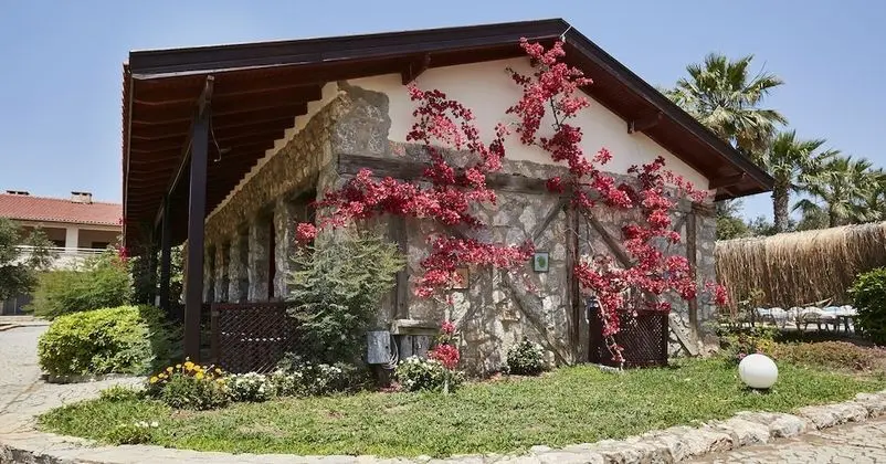 Standard Büyük Yataklı Tek Kişilik Oda
