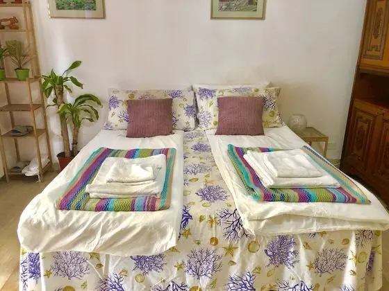 Comfort Tek Büyük veya İki Ayrı Yataklı Oda, Avlu Manzaralı (Provence)