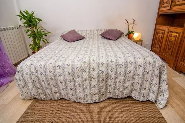 Comfort Tek Büyük veya İki Ayrı Yataklı Oda, Avlu Manzaralı (Provence)