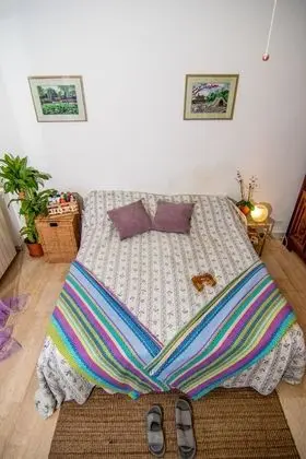 Comfort Tek Büyük veya İki Ayrı Yataklı Oda, Avlu Manzaralı (Provence)