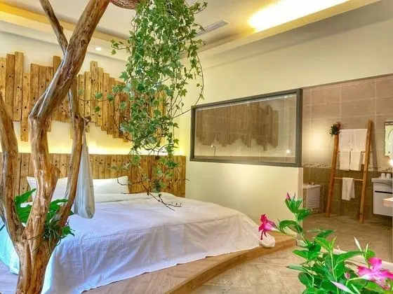Romantic Büyük Yataklı Tek Kişilik Oda, 1 Yatak Odası, Balkon, Bahçeli