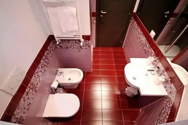 Standard Tek Büyük veya İki Ayrı Yataklı Oda, Banyolu/Duşlu