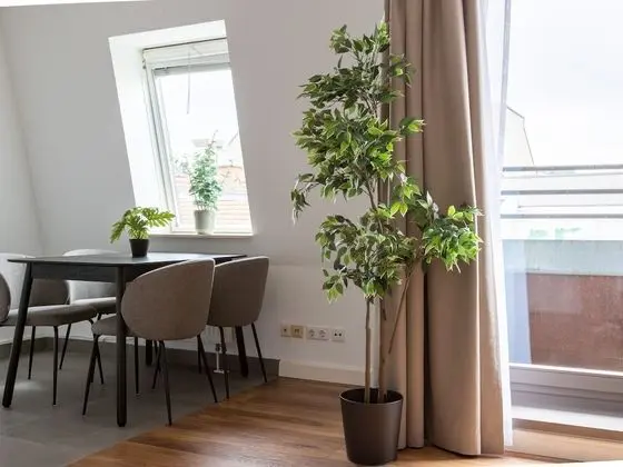 One-bedroom Duplex Suite XL with balcony